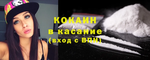 гидра Мегион