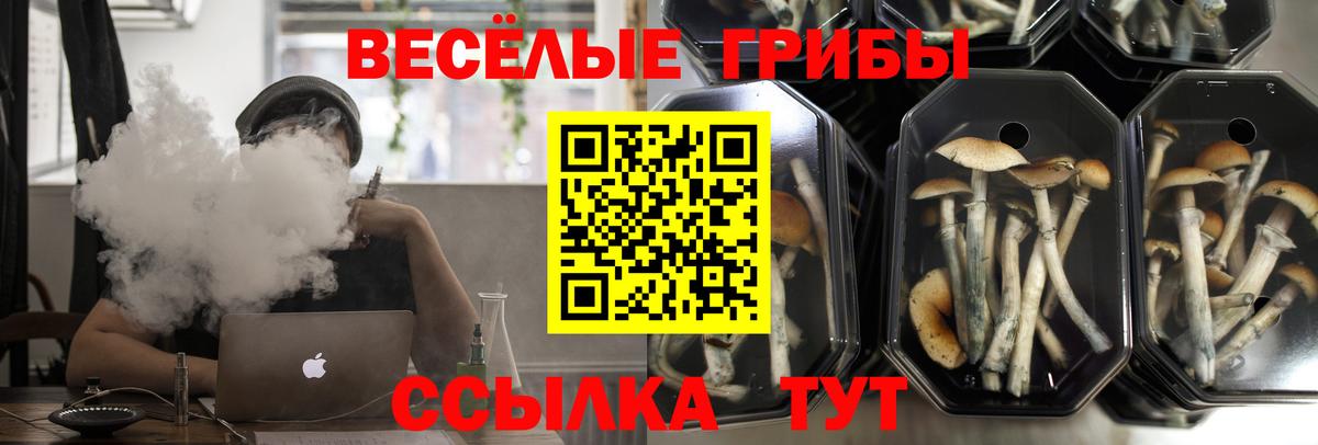 Каменск-Шахтинский  Галлюциногенные грибы Psilocybine cubensis  Вход с VPN  Галлюциногенные грибы Psilocybe 